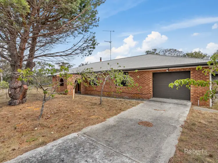 291 Dolphin Sands Road, Dolphin Sands TAS 7190