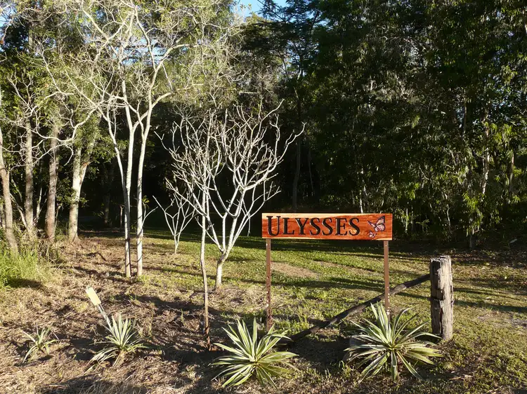 Main view of Homely house listing, 2439 Bruce Highway, Hampden QLD 4741