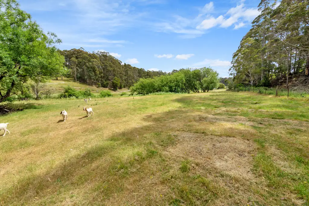 Main view of Homely land listing, 49 Richardson Road, Tugrah TAS 7310