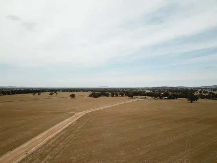 214 Milvale Road, Cootamundra NSW 2590