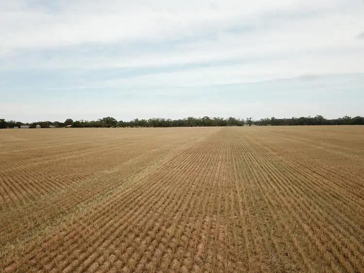 Sixth view of Homely rural property listing, 214 Milvale Road, Cootamundra NSW 2590