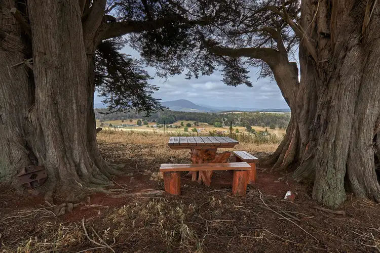 Second view of Homely house listing, 105 Jetsons Road, Jetsonville TAS 7260