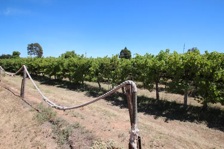 628A Chowilla Street, Renmark SA 5341