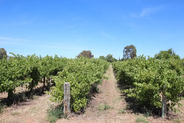 Second view of Homely house listing, 628A Chowilla Street, Renmark SA 5341