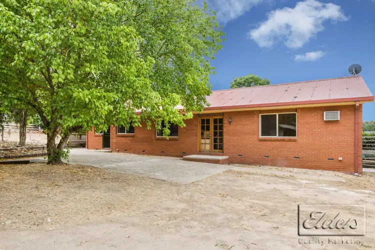 Main view of Homely house listing, 39 MacDougall Road, Golden Square VIC 3555
