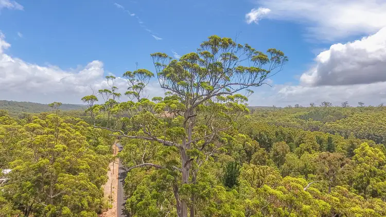 Second view of Homely land listing, Lot 56 KARRI LANE, Quinninup WA 6258