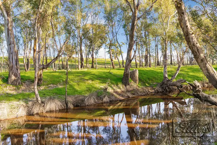 Main view of Homely land listing, Lots 1,2,3/225 Sugarloaf Road, Axedale VIC 3551
