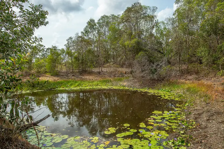 Sixth view of Homely house listing, 10 Delray Rd, Mothar Mountain QLD 4570