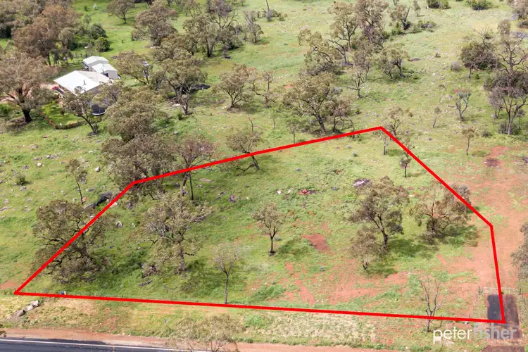 1554 Peabody Road, Molong NSW 2866