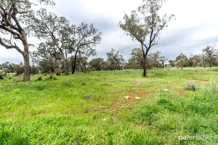 Third view of Homely land listing, 1554 Peabody Road, Molong NSW 2866