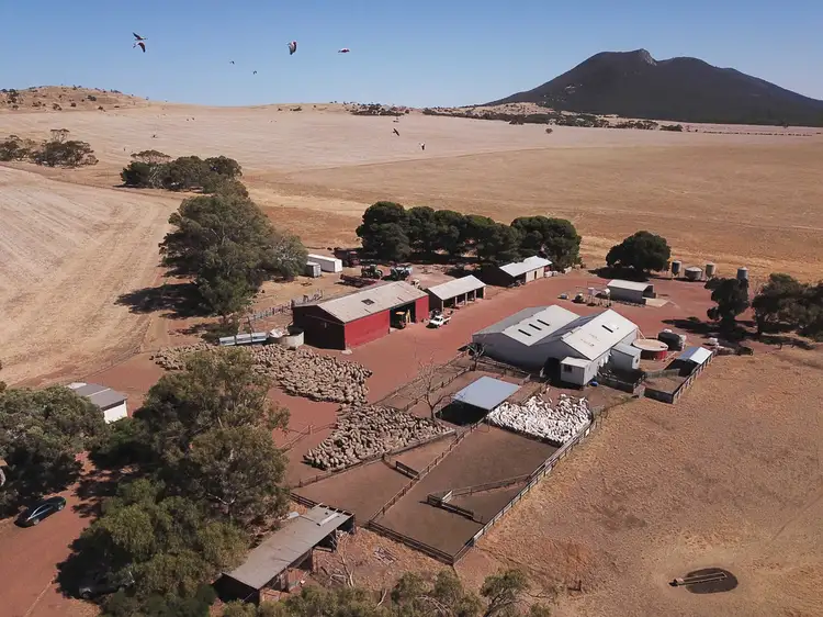 Second view of Homely rural property listing, 4502 Flinders Highway, Wangary SA 5607