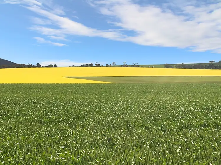 Sixth view of Homely rural property listing, 4502 Flinders Highway, Wangary SA 5607
