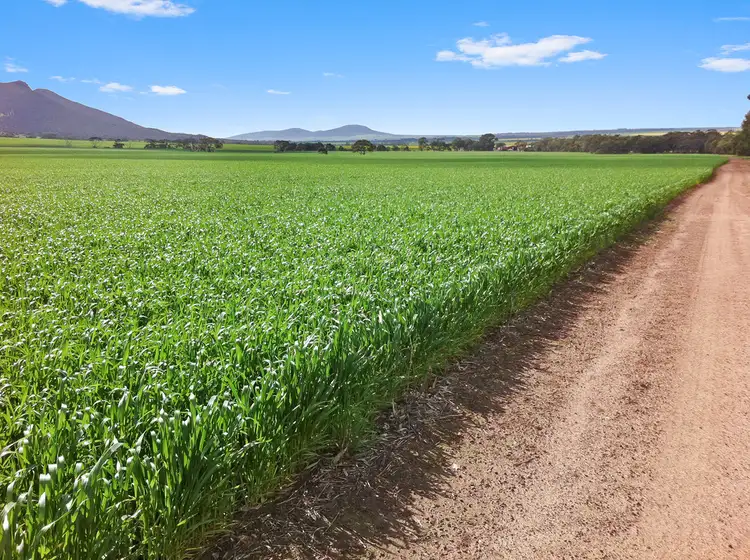 Seventh view of Homely rural property listing, 4502 Flinders Highway, Wangary SA 5607