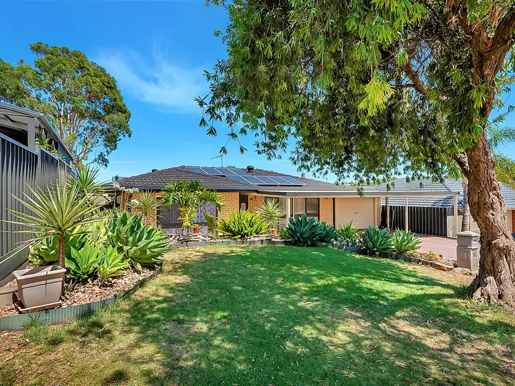 Main view of Homely house listing, 18 Chasselas Avenue, Wynn Vale SA 5127