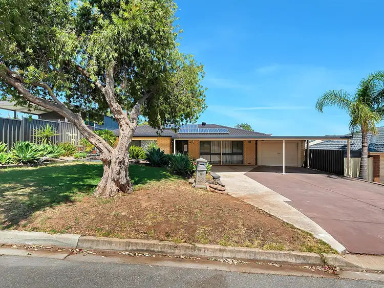 Second view of Homely house listing, 18 Chasselas Avenue, Wynn Vale SA 5127