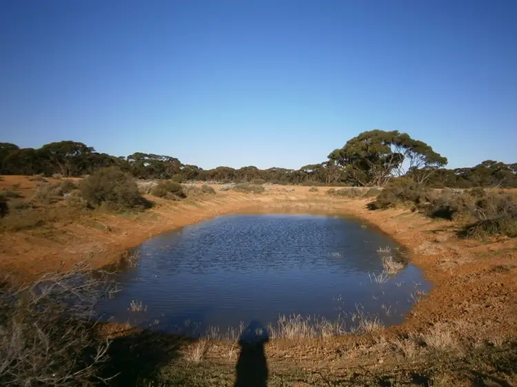Third view of Homely rural property listing, Lot 252 Twill Road, Morgan SA 5320