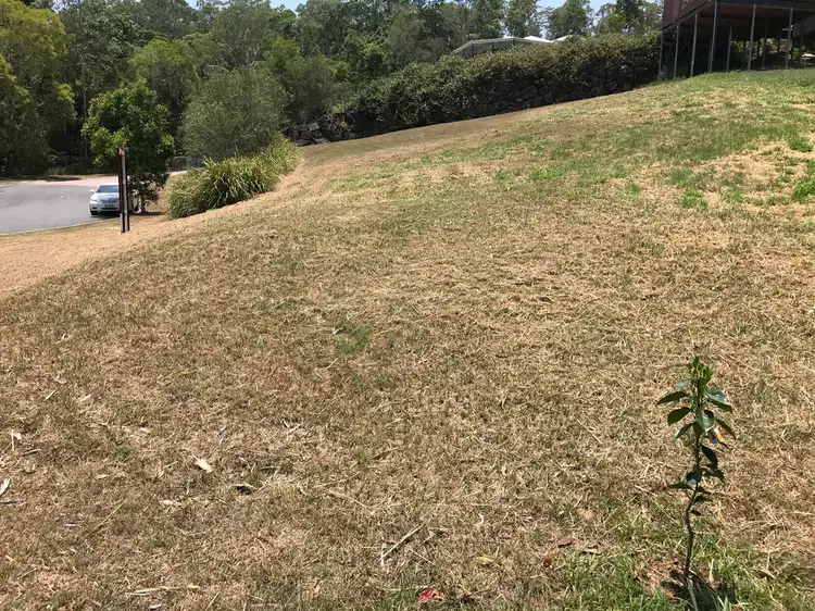 Third view of Homely land listing, 10 Birdwing Forest Place, Buderim QLD 4556