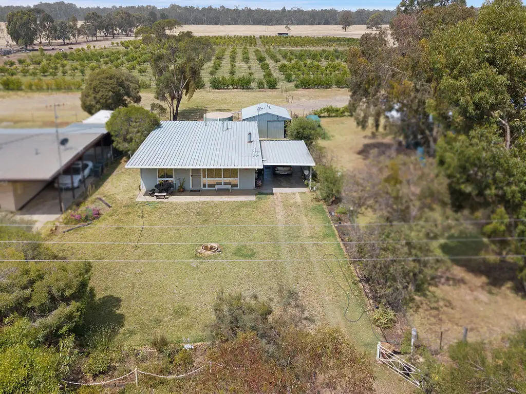 Main view of Homely house listing, 460 Moira Lakes Road, Barmah VIC 3639