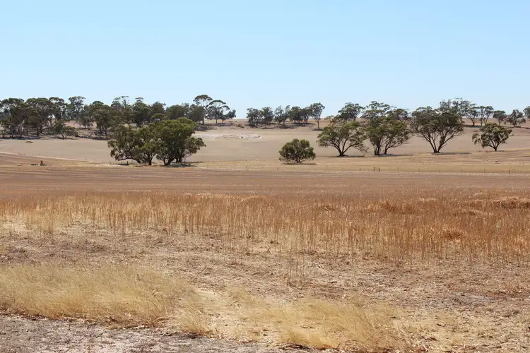 Second view of Homely rural property listing, 83 Dudley Rd, Southern Brook via, Northam WA 6401