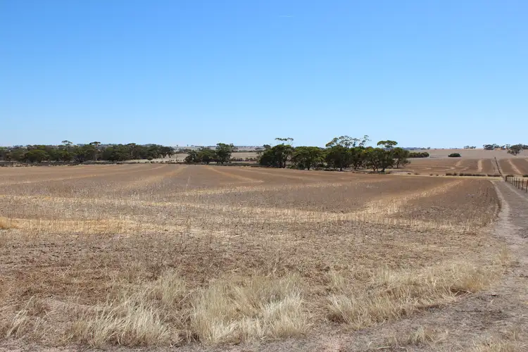 Third view of Homely rural property listing, 83 Dudley Rd, Southern Brook via, Northam WA 6401