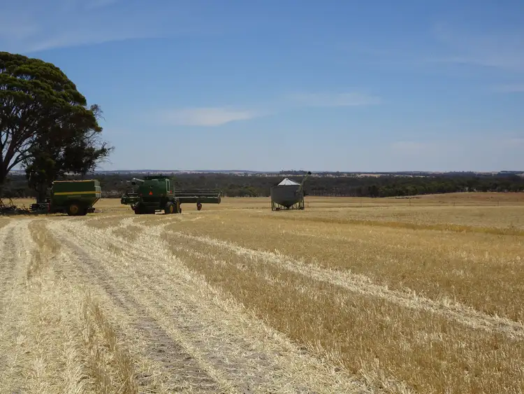 Third view of Homely rural property listing, 187 Yilliminning Rd, Toolibin WA 6312