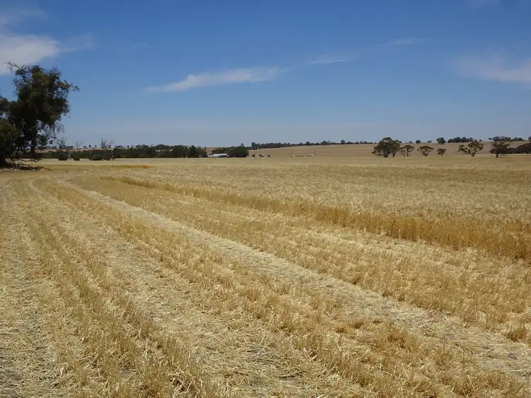 Fourth view of Homely rural property listing, 187 Yilliminning Rd, Toolibin WA 6312