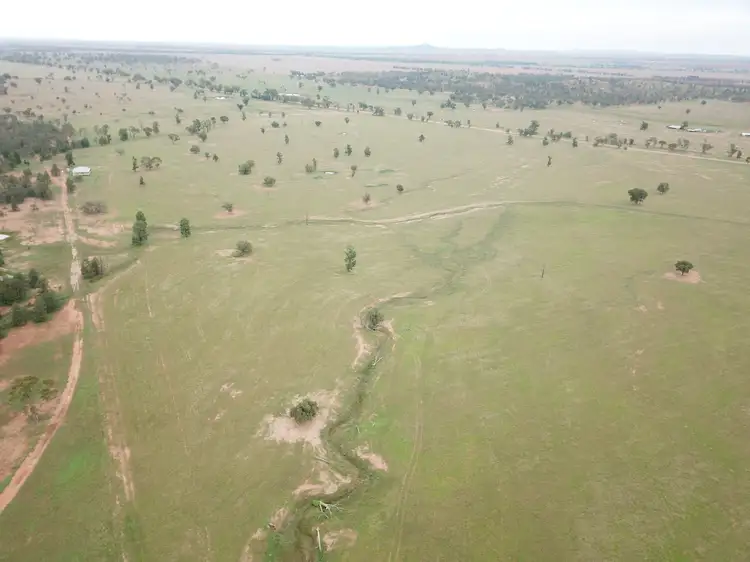- 1016 NYNGAN RD, Condobolin NSW 2877