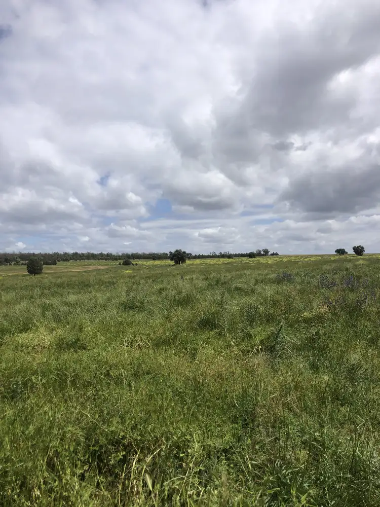 Second view of Homely rural property listing, - 1016 NYNGAN RD, Condobolin NSW 2877