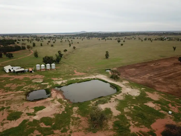 Third view of Homely rural property listing, - 1016 NYNGAN RD, Condobolin NSW 2877