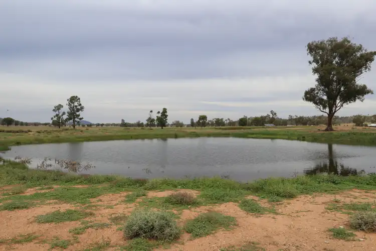 Fourth view of Homely rural property listing, - 1016 NYNGAN RD, Condobolin NSW 2877