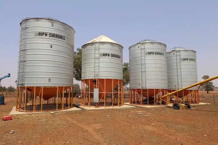 Sixth view of Homely rural property listing, - 1016 NYNGAN RD, Condobolin NSW 2877