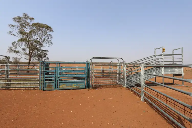 Seventh view of Homely rural property listing, - 1016 NYNGAN RD, Condobolin NSW 2877