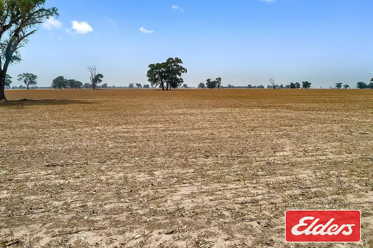 Sixth view of Homely rural property listing, Lots 257-259 Dunbar Road, Mulwala NSW 2647