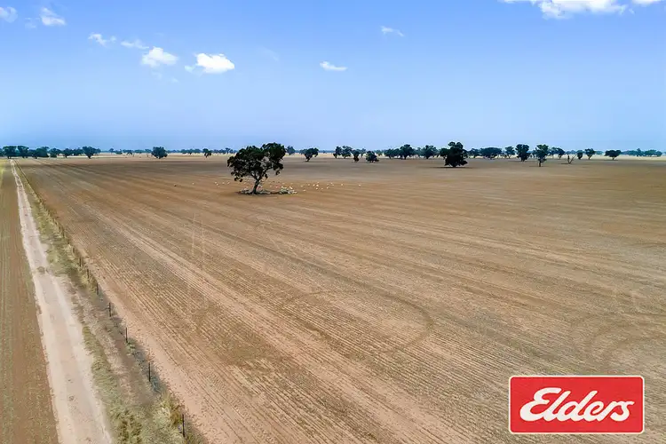 Seventh view of Homely rural property listing, Lots 257-259 Dunbar Road, Mulwala NSW 2647