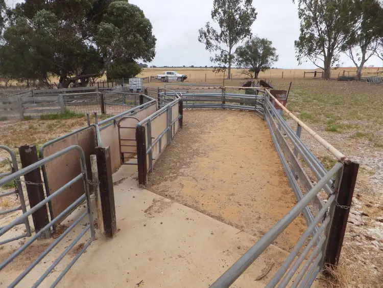 Sixth view of Homely rural property listing, 1407/1539 Middle Road, Jerdacuttup WA 6346