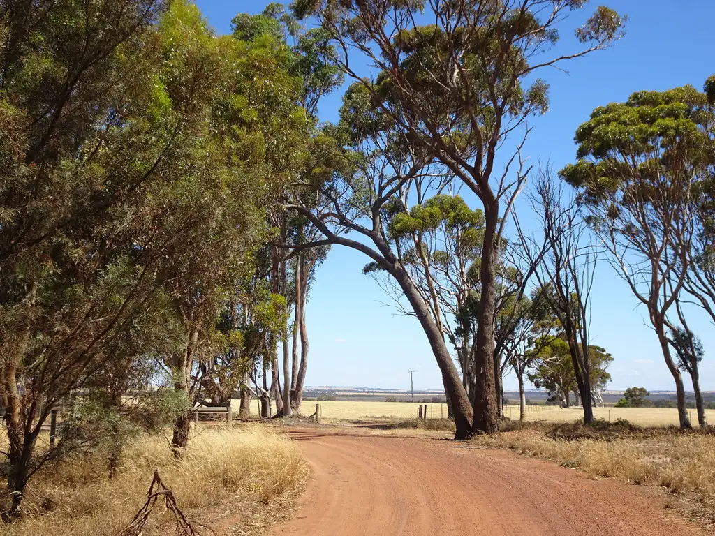 Main view of Homely rural property listing, 41 Stewart St, Wagin WA 6315