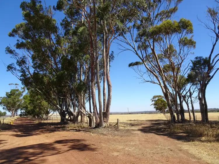 Second view of Homely rural property listing, 41 Stewart St, Wagin WA 6315