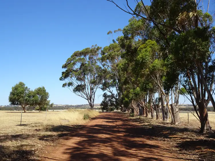 Third view of Homely rural property listing, 41 Stewart St, Wagin WA 6315
