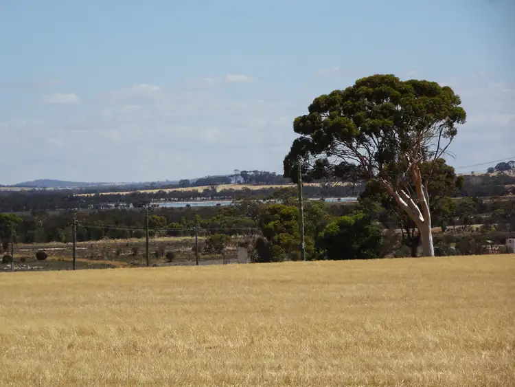 Fourth view of Homely rural property listing, 41 Stewart St, Wagin WA 6315