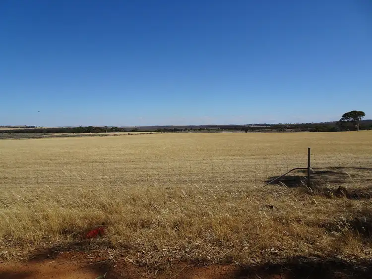 Fifth view of Homely rural property listing, 41 Stewart St, Wagin WA 6315