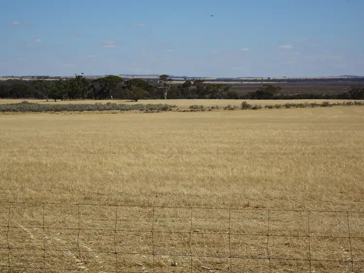 Seventh view of Homely rural property listing, 41 Stewart St, Wagin WA 6315
