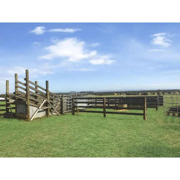 Third view of Homely rural property listing, 455 Heyfield-Seaton Road, Heyfield VIC 3858