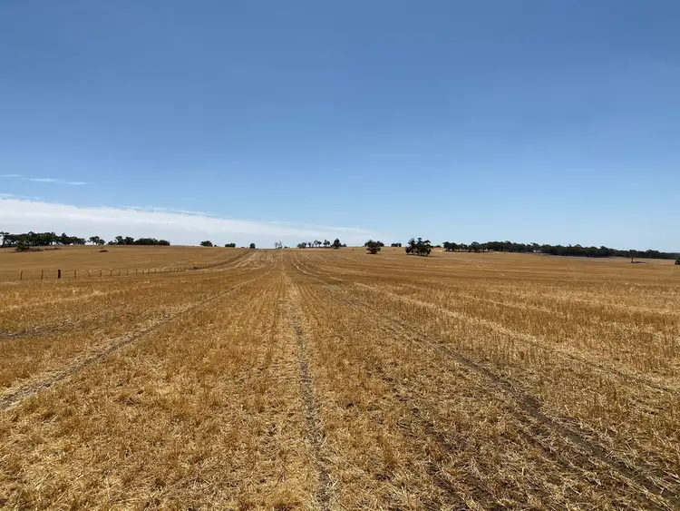 Fourth view of Homely rural property listing, Lot 4829 & 4830 Radcliffe Road, Kojonup WA 6395