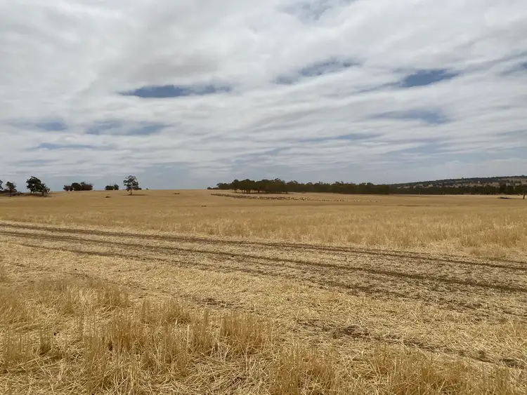 Seventh view of Homely rural property listing, Lot 4829 & 4830 Radcliffe Road, Kojonup WA 6395
