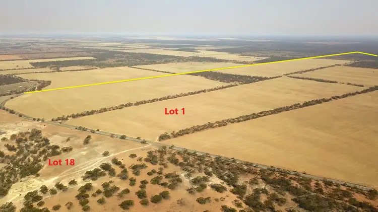 Main view of Homely rural property listing, 538 Devlins Pound Road, Waikerie SA 5330