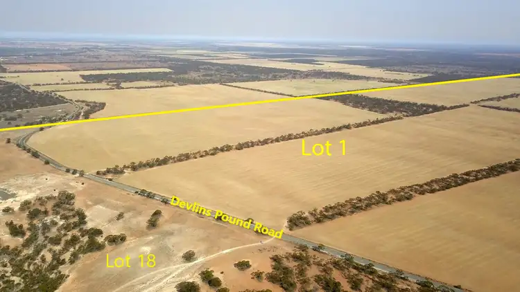 Sixth view of Homely rural property listing, 538 Devlins Pound Road, Waikerie SA 5330