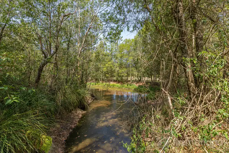 Seventh view of Homely rural property listing, 259 Coonowrin Road, Glass House Mountains QLD 4518
