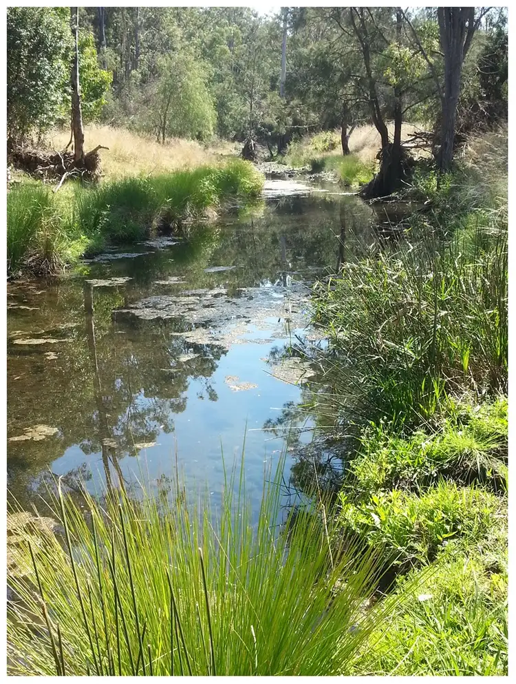 Second view of Homely rural property listing, 405 ACRES CATTLE GRAZING, Bunya Mountains QLD 4405