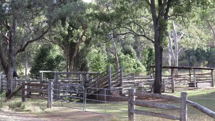Fourth view of Homely rural property listing, 405 ACRES CATTLE GRAZING, Bunya Mountains QLD 4405
