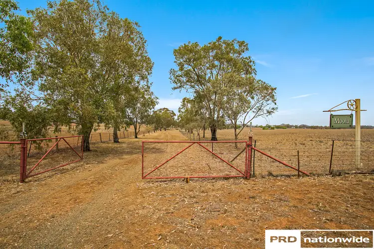 Second view of Homely house listing, 77 Duri-Winton Road, Duri NSW 2344